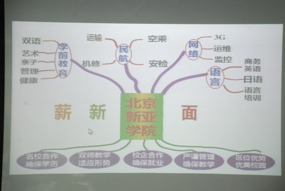 根深叶茂的新亚发展之树