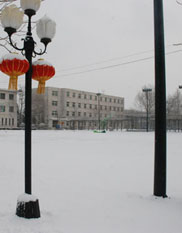  校园风采之雪景 